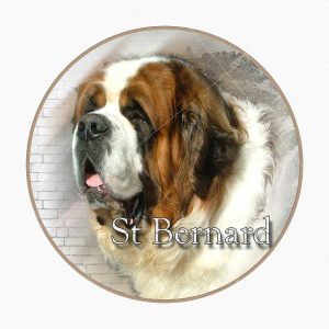 St. Bernard sticker